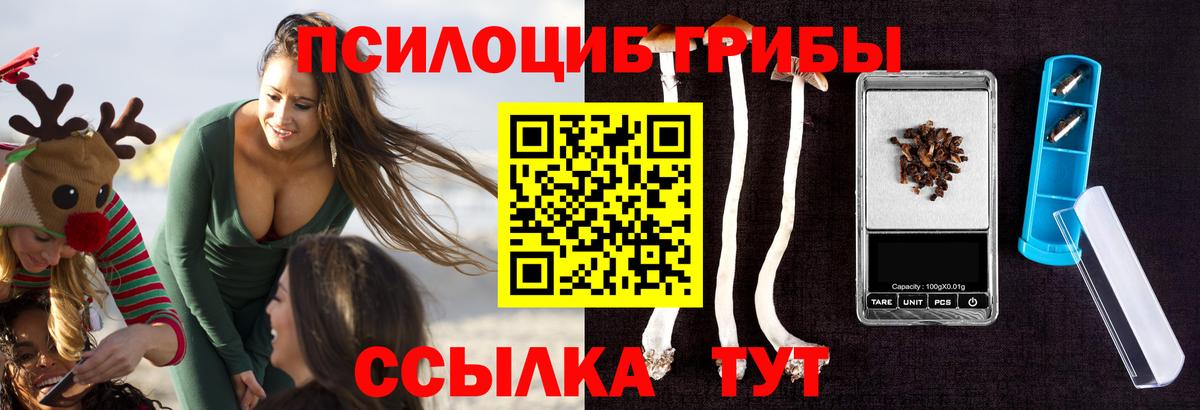 Галлюциногенные грибы Magic Shrooms Москва
