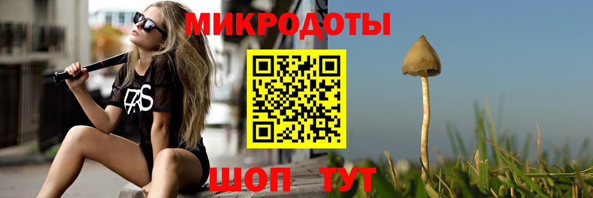 Москва  Галлюциногенные грибы мухоморы  как найти наркотики  Вход с VPN 